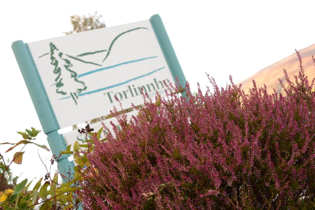 Znak za krzakiem z fioletowymi kwiatami w obiekcie Torlinnhe Guest House w mieście Fort William
