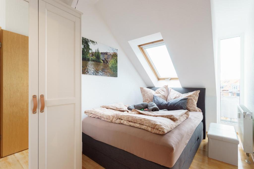 Wohnung mit Blick auf die Zitadelle Petersberg - 3 Zimmer - 17