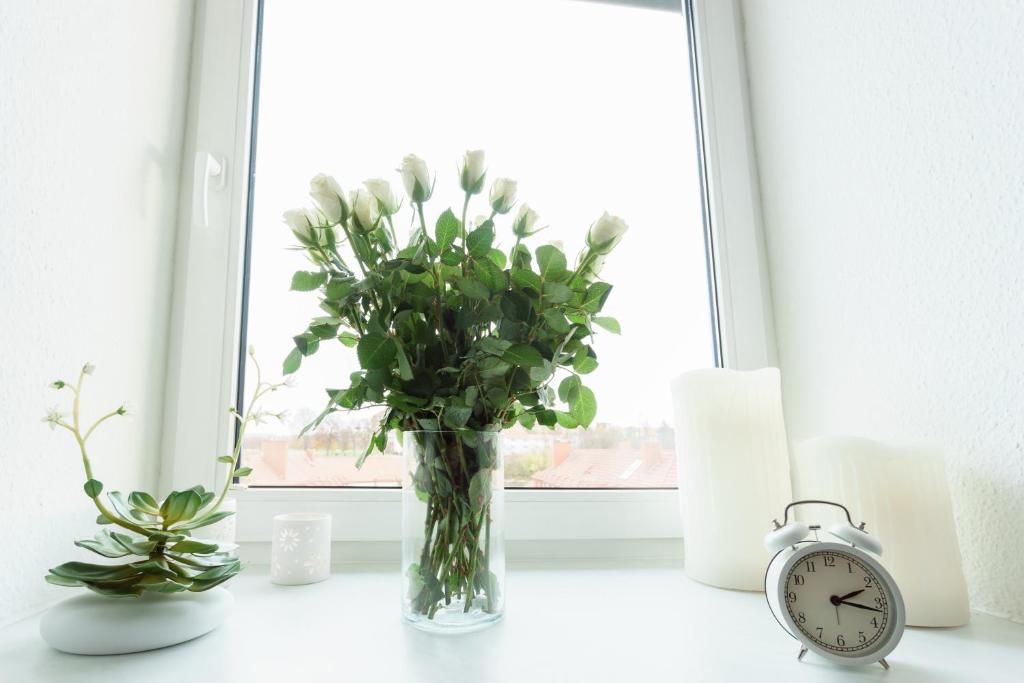 Wohnung mit Blick auf die Zitadelle Petersberg - 3 Zimmer - 13