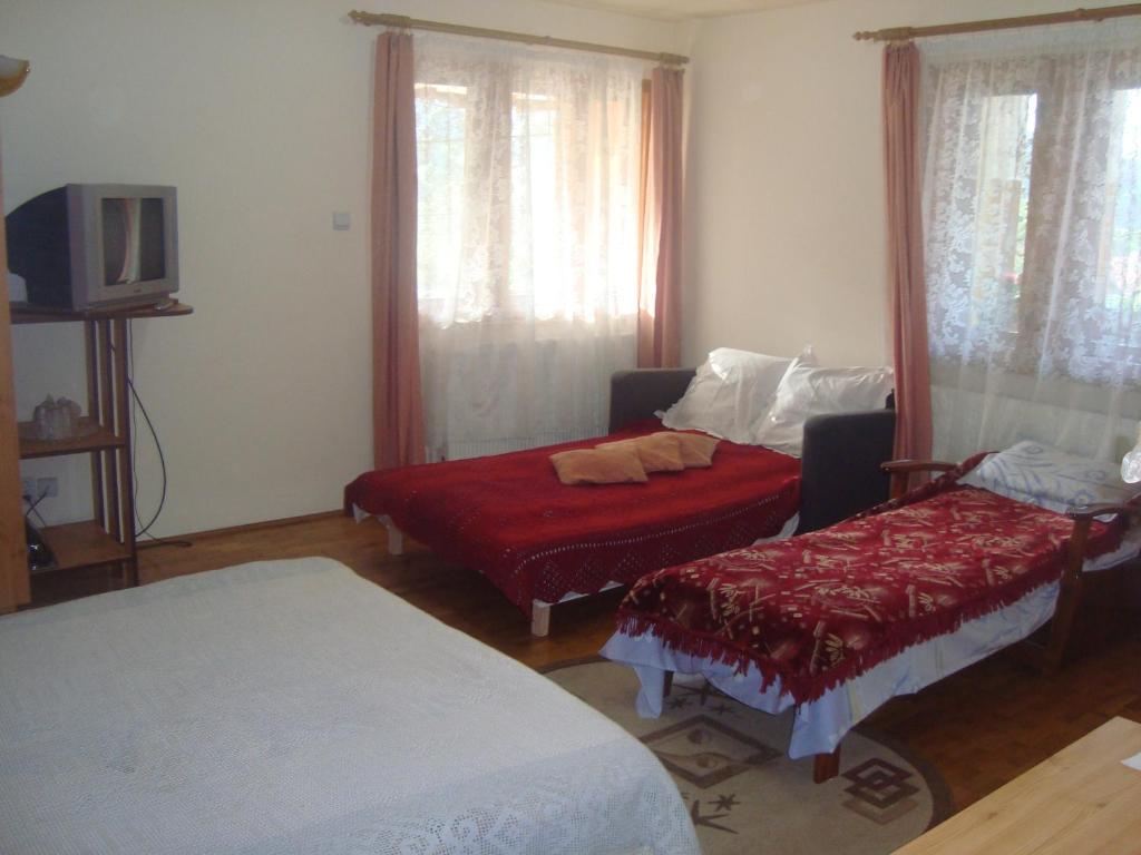 a living room with two beds and a tv at Pensiunea Nicky in Oeștii Ungureni