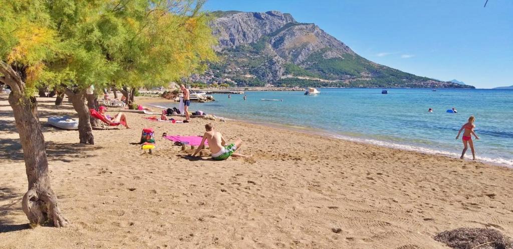 Príroda v okolí apartmánu