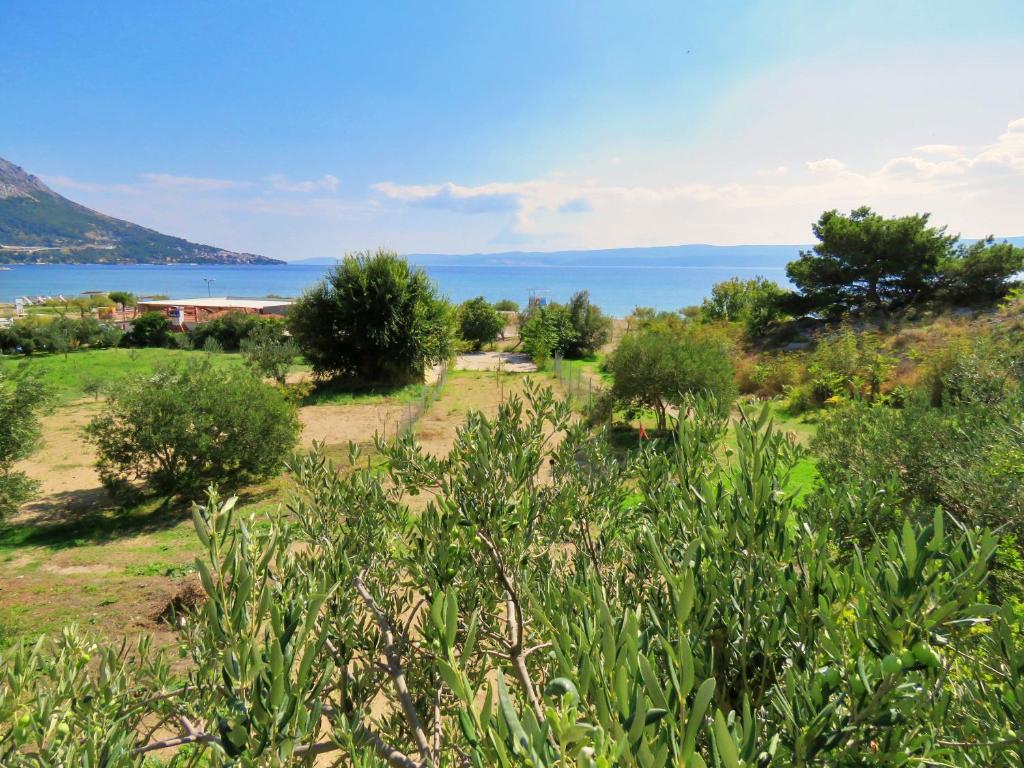 Príroda v okolí apartmánu