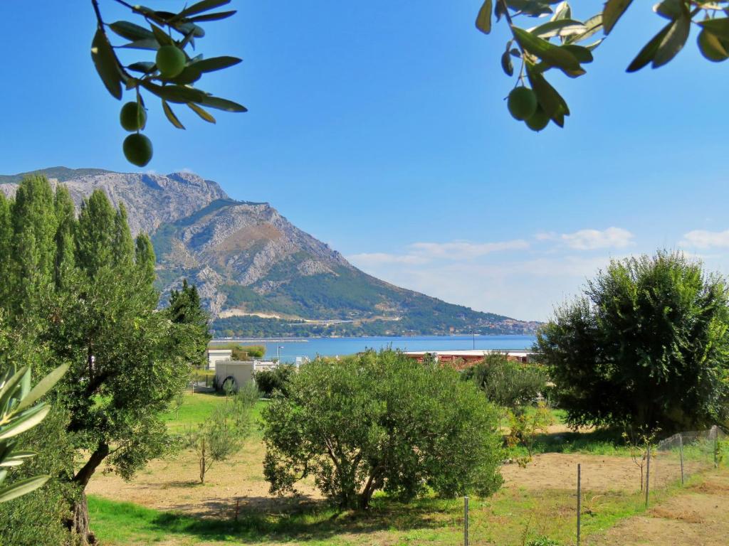 Príroda v okolí apartmánu