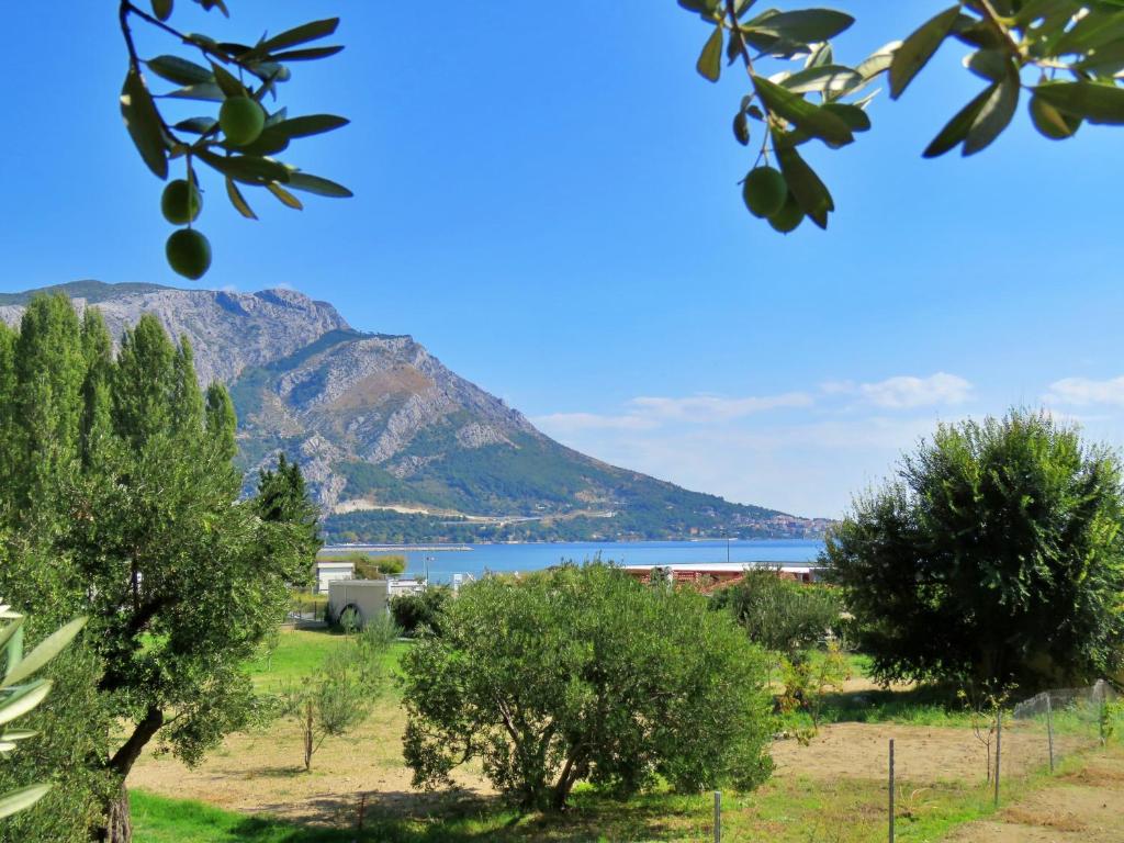 Príroda v okolí apartmánu