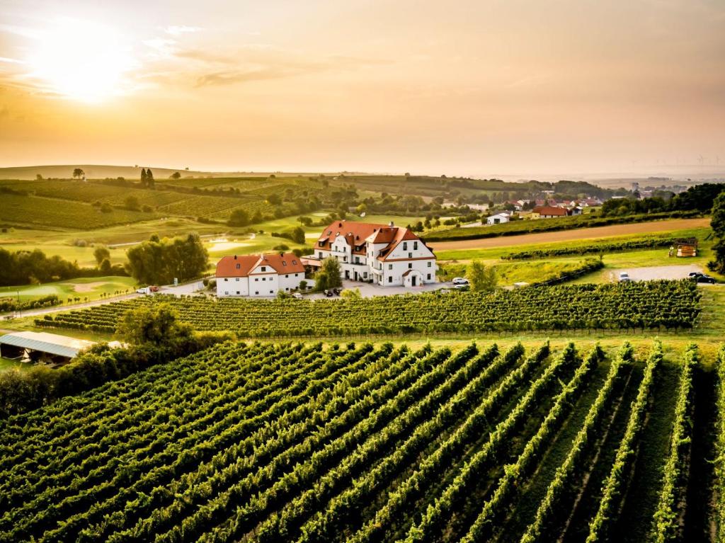 a view of a vineyard and a house in the middle of a field at Hotel Neustifter in Poysdorf