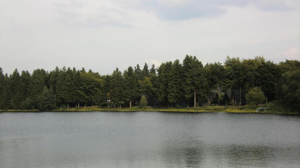 a large body of water with trees in the background at Waldsee Feriendienst 'Ferienpark am Waldsee' in Clausthal-Zellerfeld