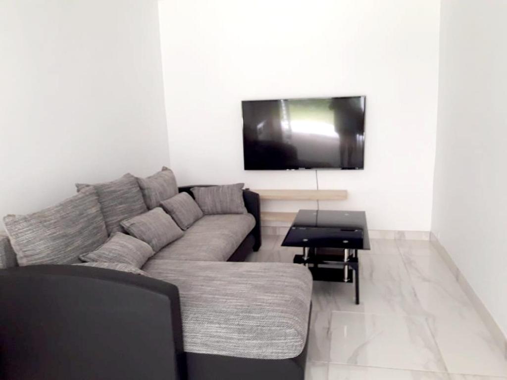a living room with a couch and a flat screen tv at Appartement de 2 chambres avec jardin amenage et wifi a Le Lamentin a 4 km de la plage in Le Lamentin
