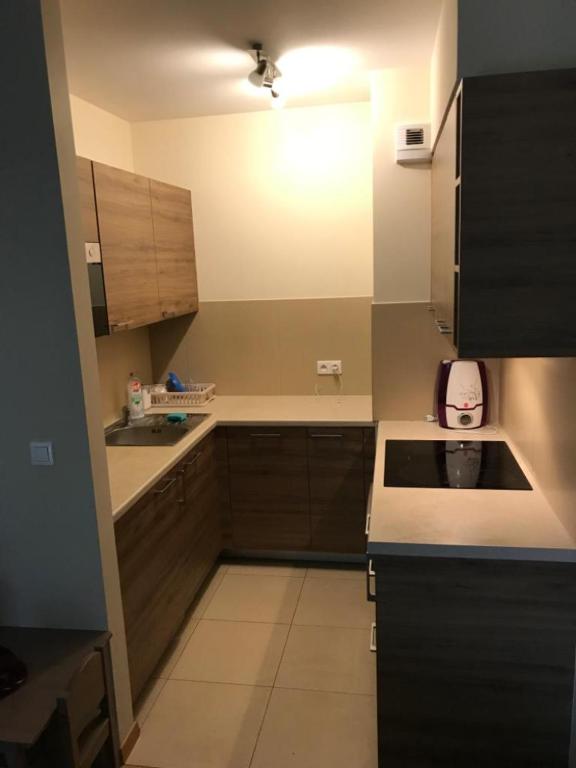 Kuchyňa alebo kuchynka v ubytovaní Appartement Nowa Huta