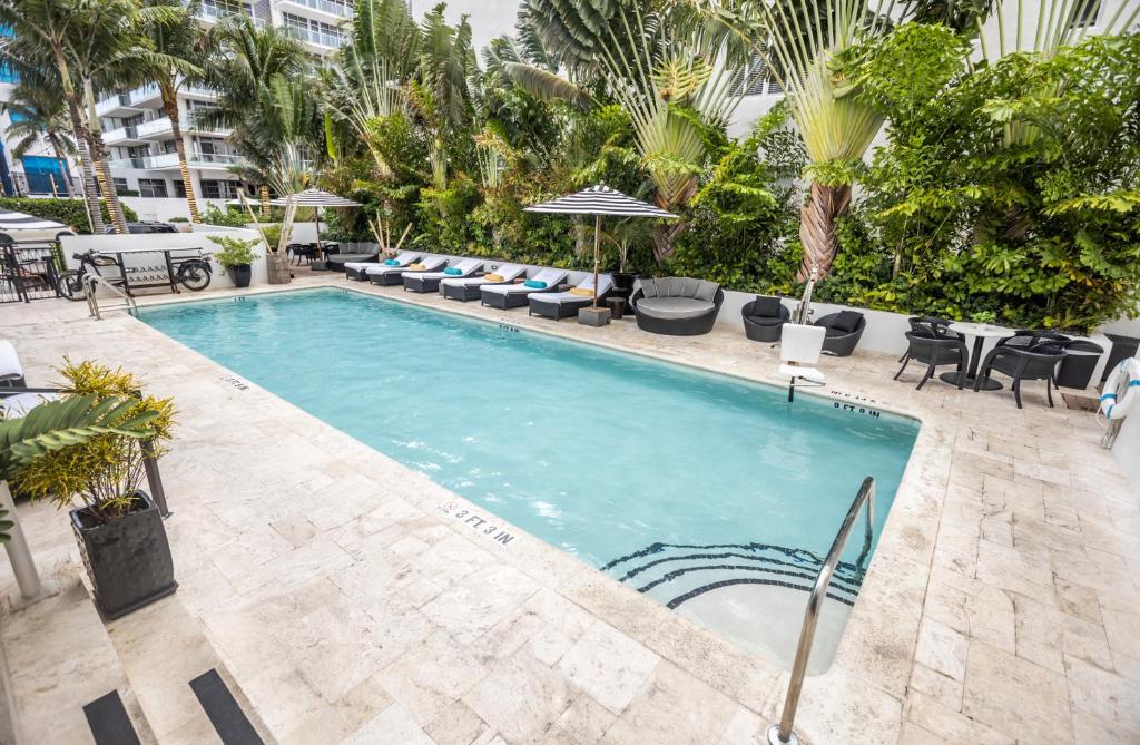 a large swimming pool with chairs and tables and trees at Hotel Croydon in Miami Beach