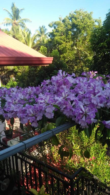 Tissa Rainbow Guest & Yala - 11