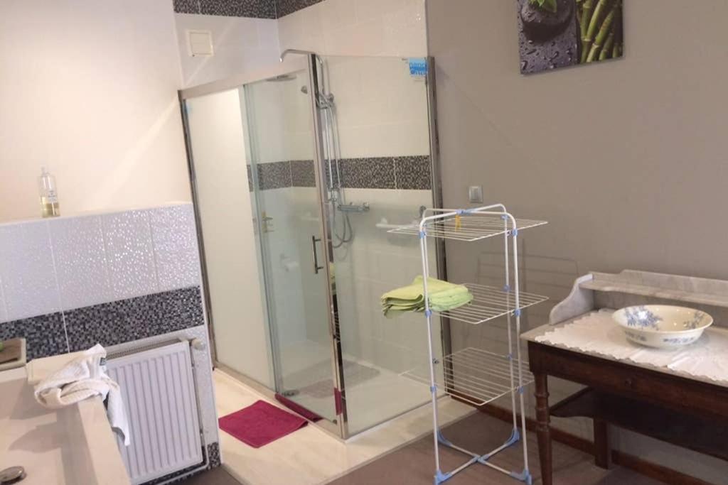 a shower with a glass door in a bathroom at Appartement tout confort centre Baccarat in Baccarat