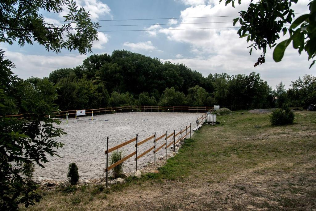Příroda nedaleko luxury tent
