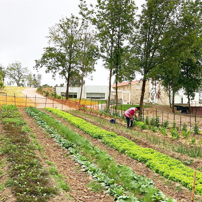 A garden outside Hotel Nande