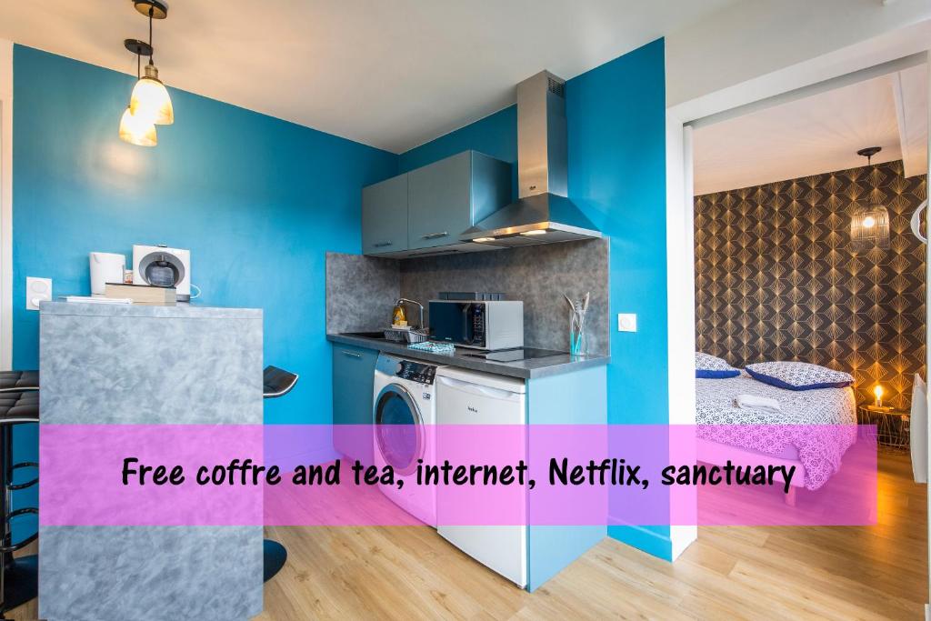Una cocina o zona de cocina en LOURDES cosy appartement sanctuaire centre ville