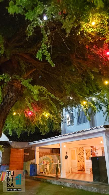  Tubiba Hostel