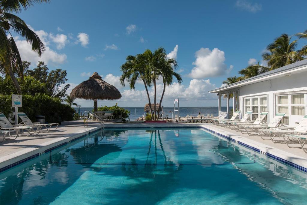 Bazén v ubytování Amoray Dive Resort nebo v jeho okolí