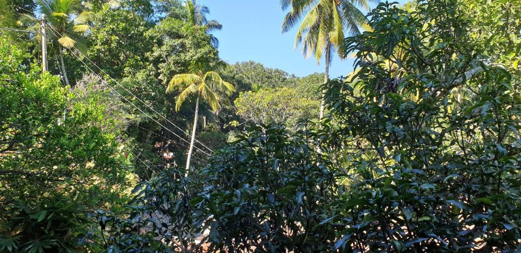 Windy Ridge Kandy - 8