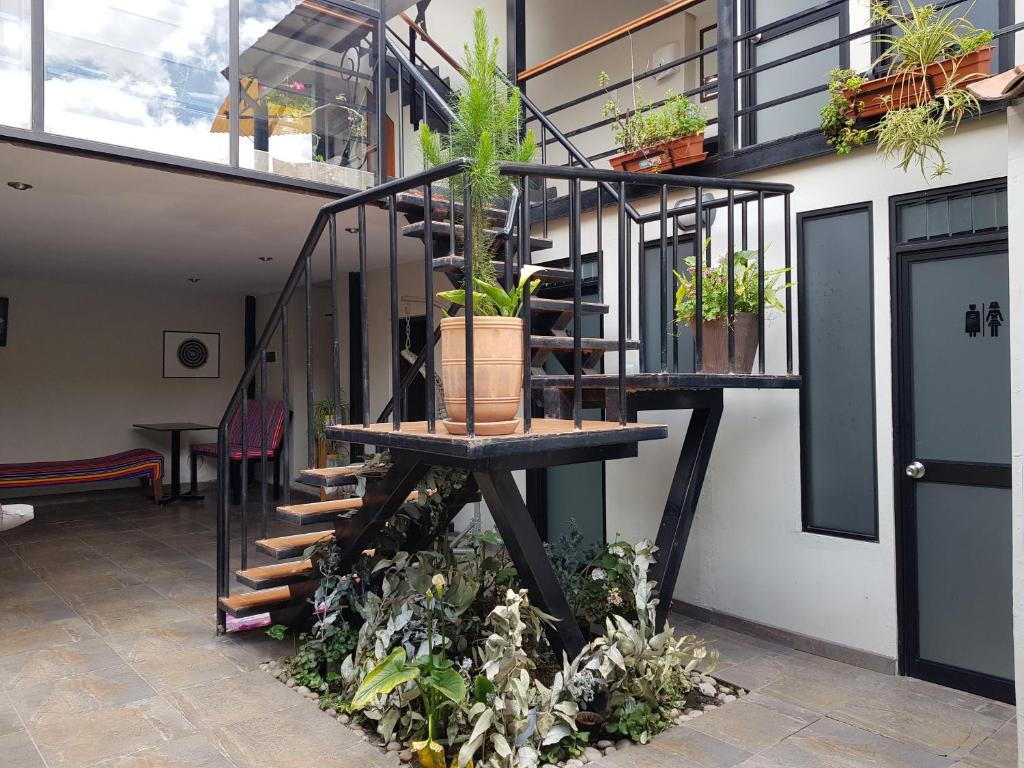 Μπαλκόνι ή βεράντα στο Xplora Hostel Cusco
