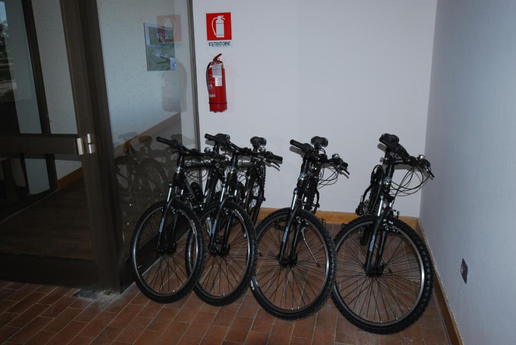 Jízda na kole v ubytování Hotel Monte Bondone nebo okolí