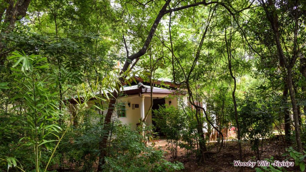 Zahrada ubytování Woodsy Villa