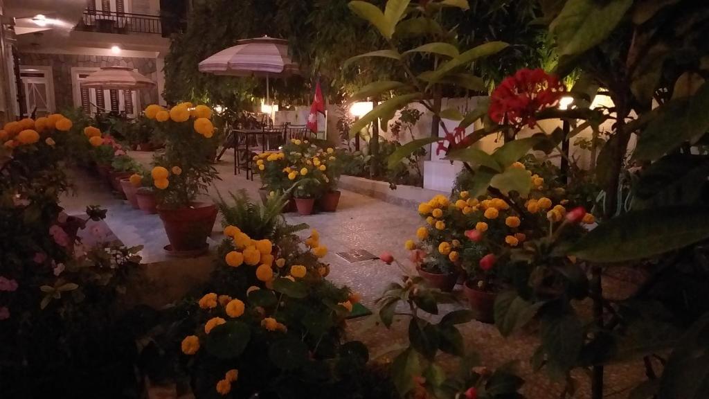 Giardino di Harvest Moon Guest House