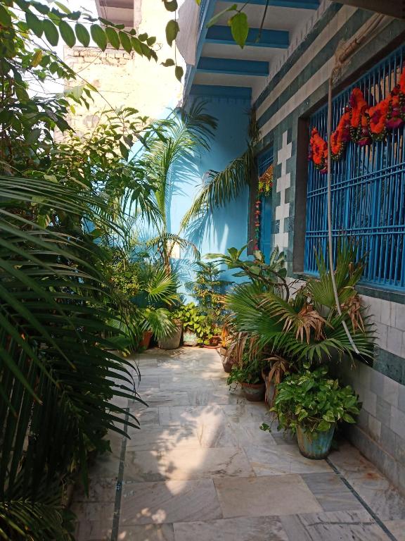 Zahrada ubytování Sunita homestay