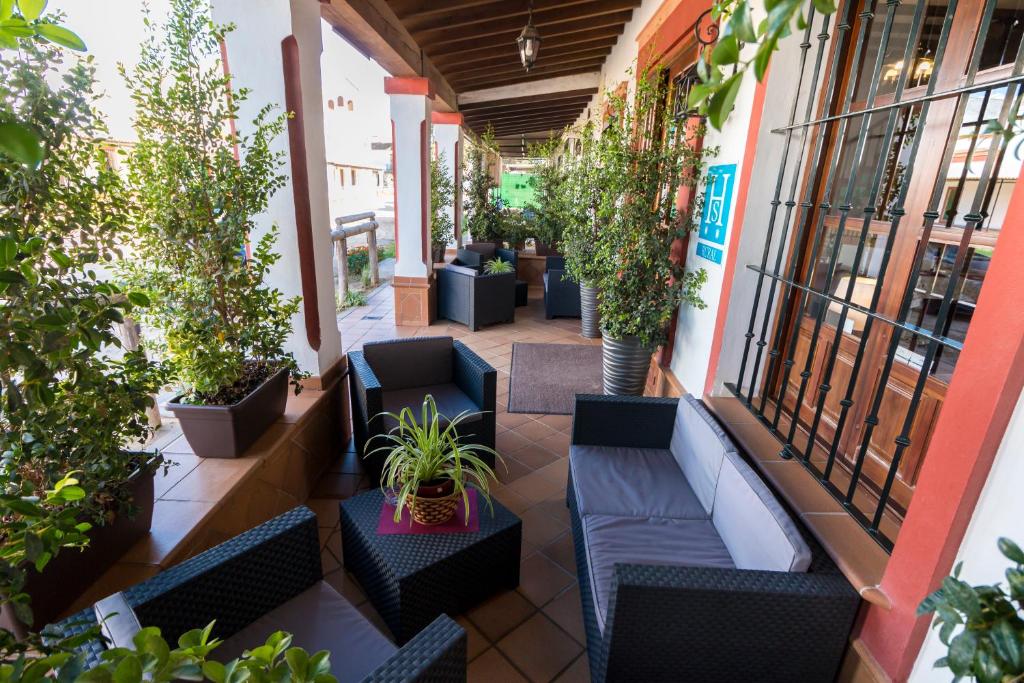 an outdoor patio with chairs and potted plants at Hostal Rural La Fonda Del Rocio in El Rocío