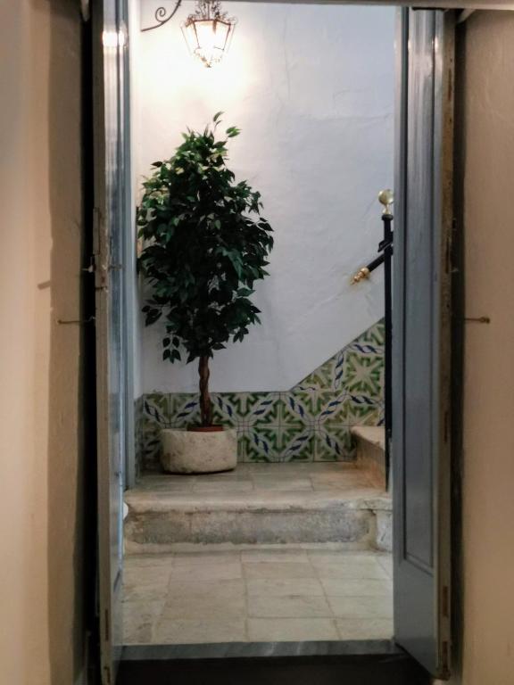 Fotografia z galérie ubytovania TRIPERIA 25 v destinácii Medina Sidonia