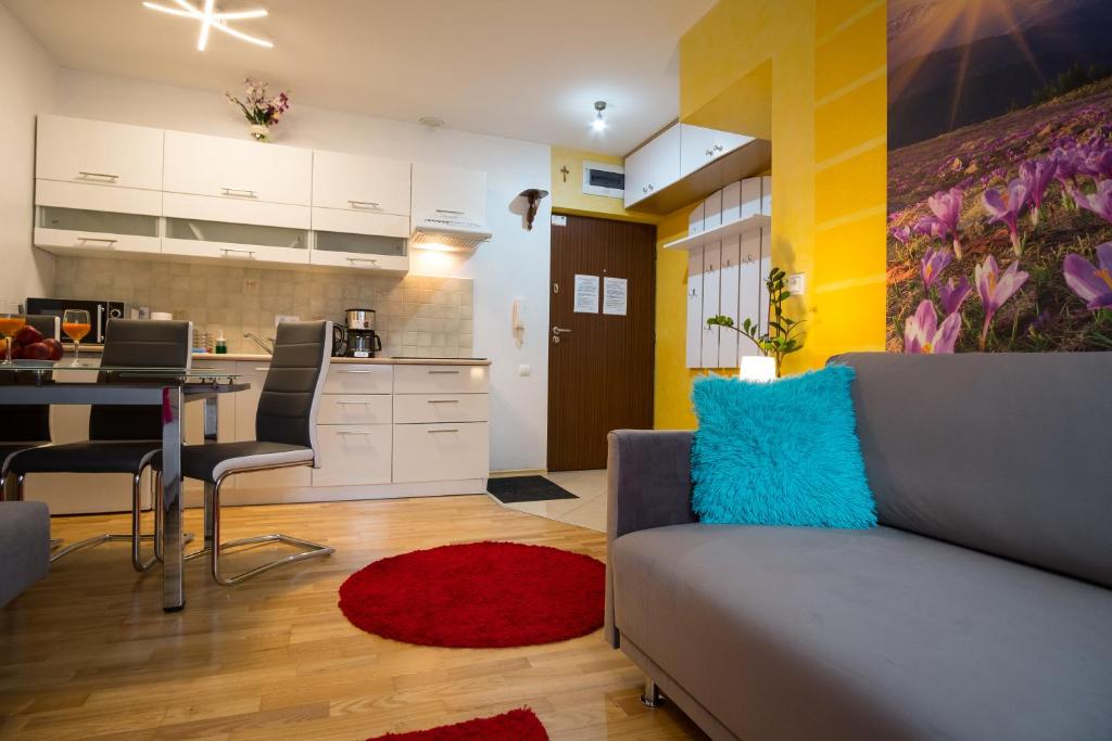 Kuchyňa alebo kuchynka v ubytovaní Apartament Promyk Pod Lipkami APARTZAKOP