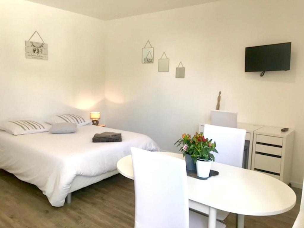 a bedroom with a bed and a table and a tv at Studio avec jardin clos et wifi a Rennes in Rennes