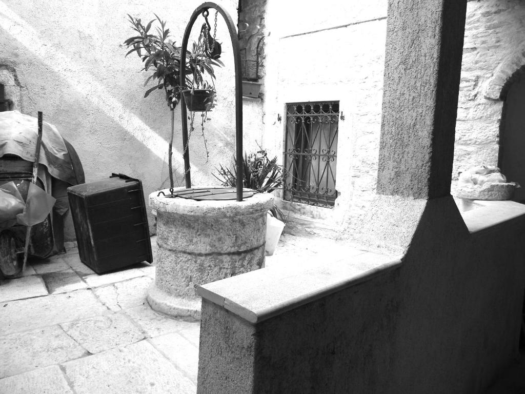 a planter with a plant in it next to a building at Piazza Grande City Residence in Trieste