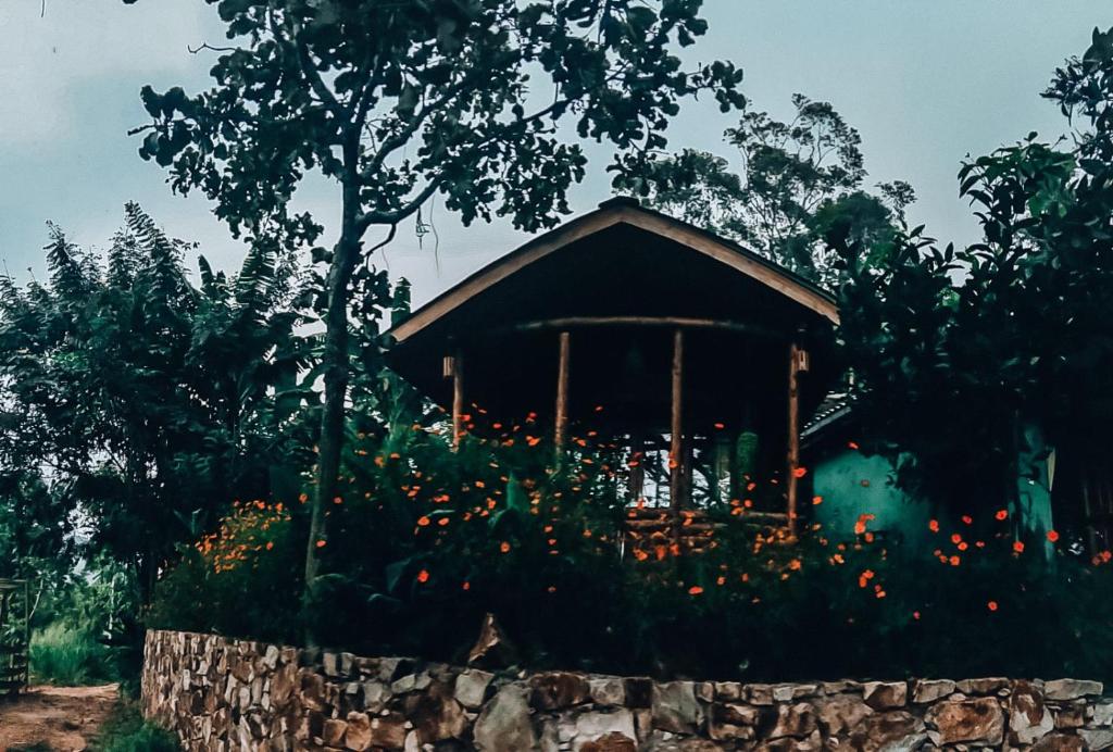 Zahrada ubytování Felicity Inn