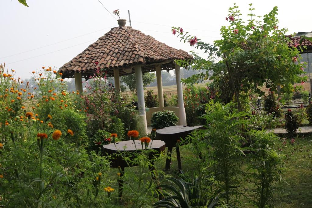 Zahrada ubytování Bardia Eco Friendly Homestay