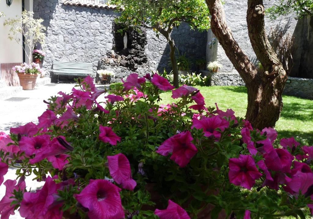 Ogród w obiekcie La Durlindana B&B