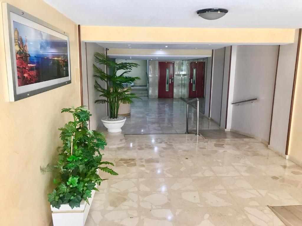 Calle Gambo Apartment - One-Bedroom Apartment