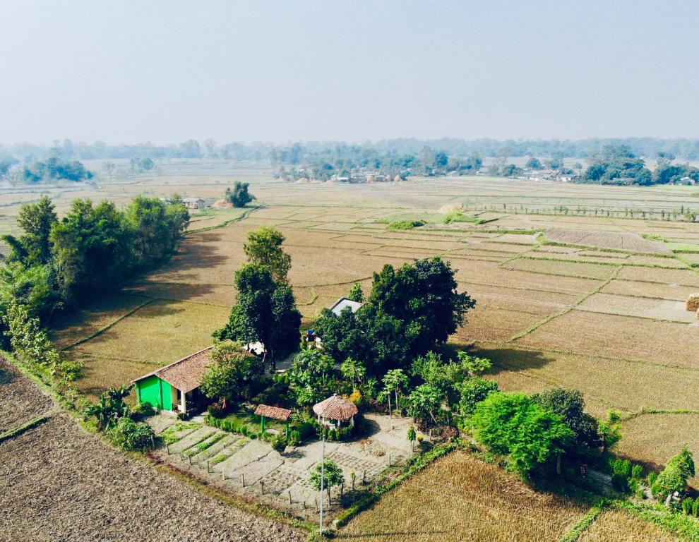 an aerial view of a farm in a field at Bardia Eco Friendly Homestay in Bhurkīā