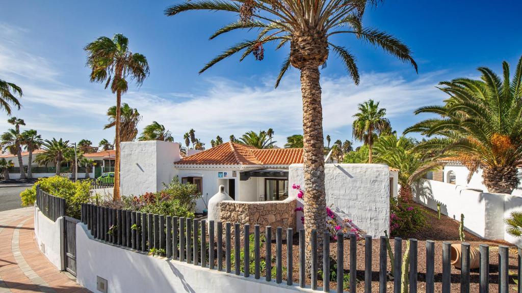 a palm tree in front of a house with a fence at Villa Sávila in Caleta De Fuste