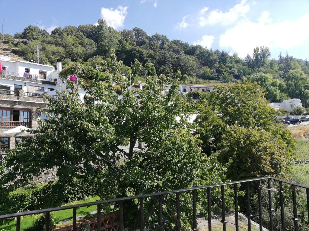 a tree on the side of a hill with houses at MA Apartamentos Cerro Negro in Capileira