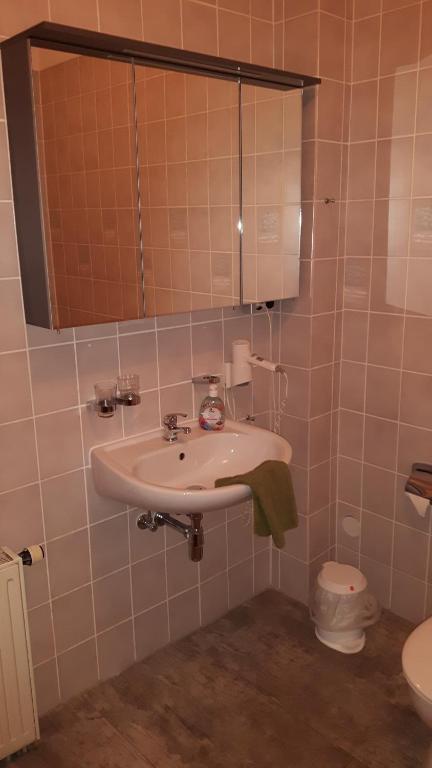 Hotel & Pension Plagwitzer Hof - Resim 37