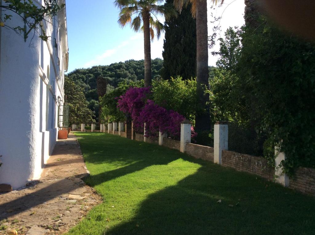 Jardín al aire libre en Finca La Favorita- Suites