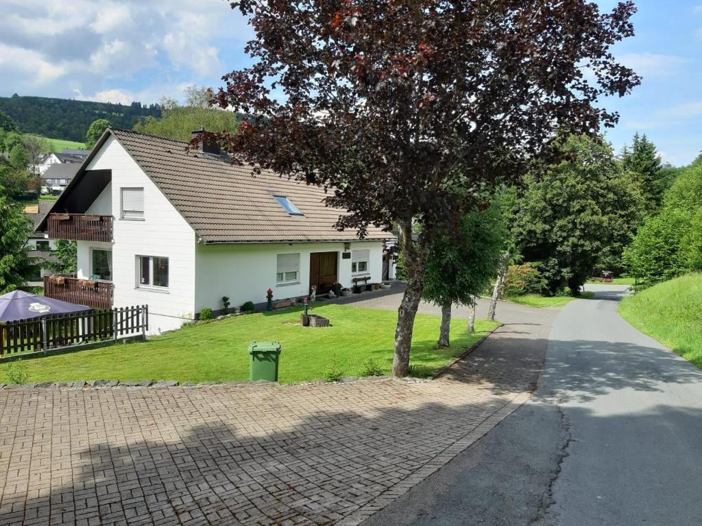 a house with a tree on the side of a road at Ferienwohnung Birgit in Winterberg