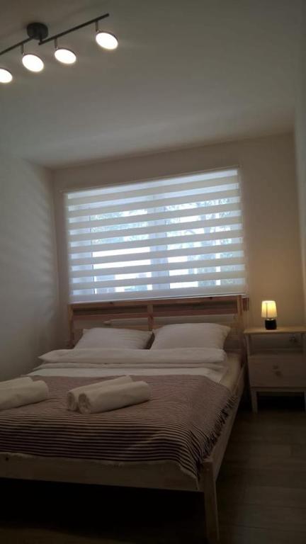 Apartamenty Skalite Szczyrk Wellness - 3