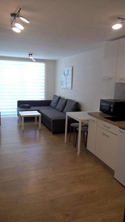 Apartamenty Skalite Szczyrk Wellness - 1