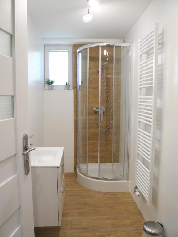 Apartamenty Skalite Szczyrk Wellness - 9