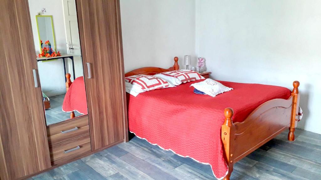 una camera da letto con un letto con una coperta rossa e uno specchio di Studio a Fort de France a 500 m de la plage avec balcon amenage et wifi a Fort-de-France