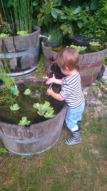 Zahrada ubytování Le jardin des Écureuils