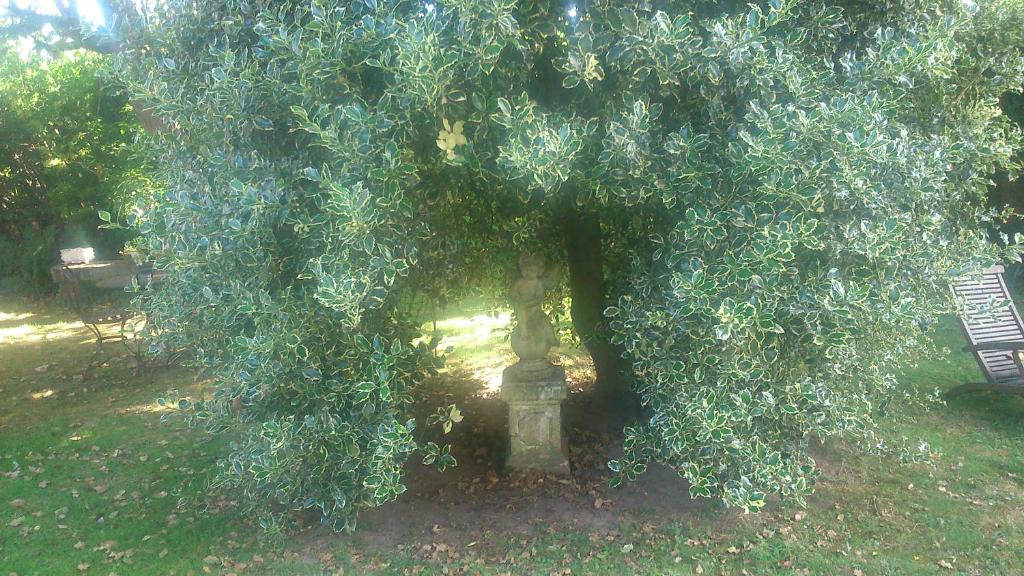 Un jard&iacute;n fuera de Le jardin des &Eacute;cureuils