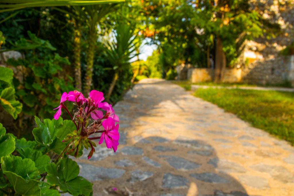 Zahrada ubytování Ktima Petalea