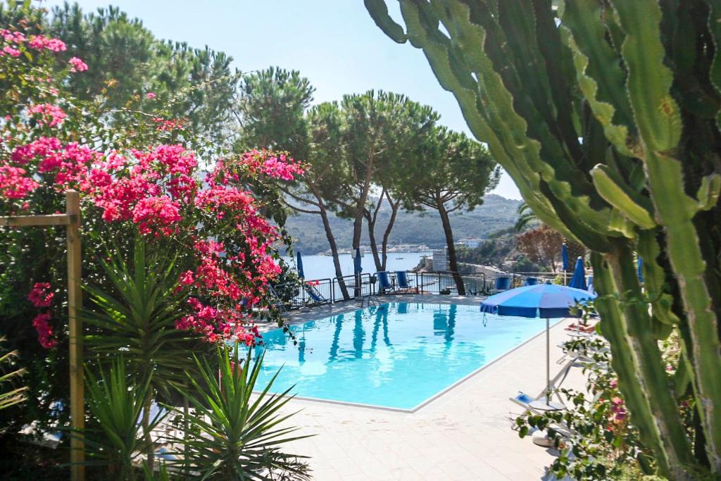 basen z różowymi kwiatami i kaktusem w obiekcie Monolocale il Porto n. 4 w mieście Porto Azzurro