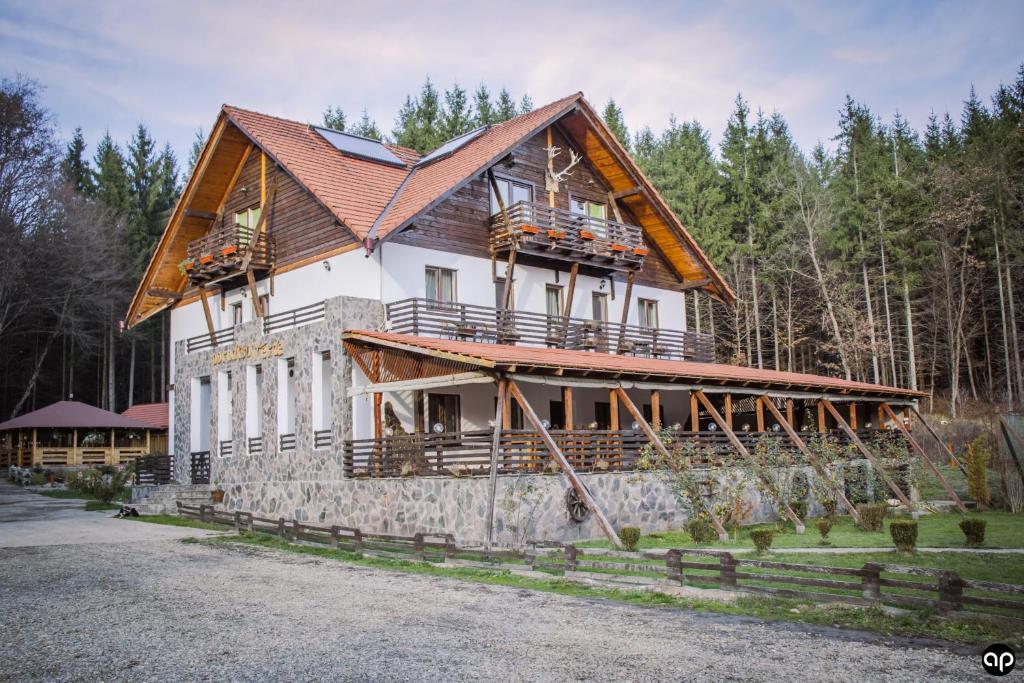 a large white house with a wooden roof at Paradisul Verde in Bretea